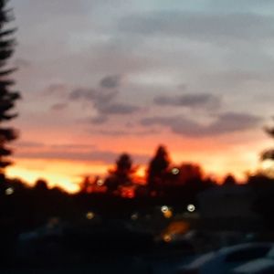 Meet your Posher, Dara